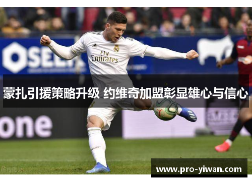 蒙扎引援策略升级 约维奇加盟彰显雄心与信心 蒙扎引援策略升级 约维奇加盟彰显雄心与信心