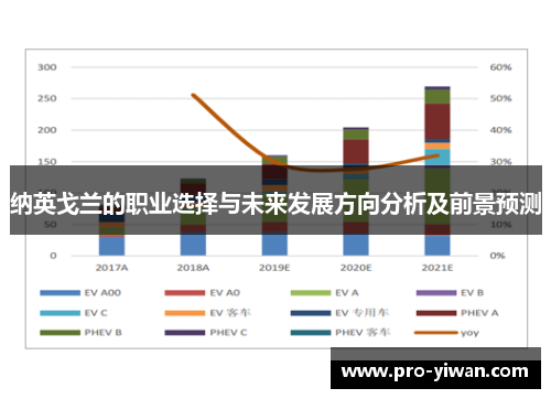 纳英戈兰的职业选择与未来发展方向分析及前景预测 纳英戈兰的职业选择与未来发展方向分析及前景预测