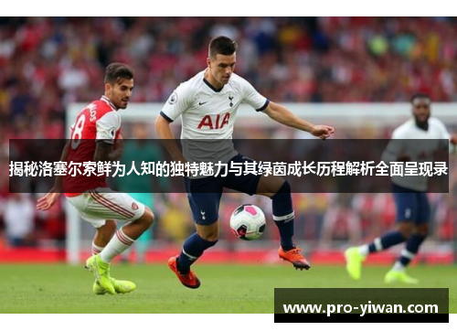 揭秘洛塞尔索鲜为人知的独特魅力与其绿茵成长历程解析全面呈现录 揭秘洛塞尔索鲜为人知的独特魅力与其绿茵成长历程解析全面呈现录