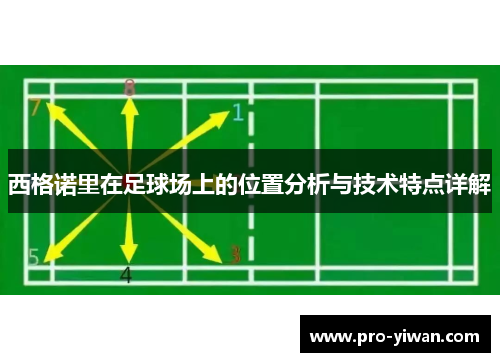 西格诺里在足球场上的位置分析与技术特点详解