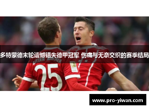 多特蒙德末轮遗憾错失德甲冠军 伤痛与无奈交织的赛季结局 多特蒙德末轮遗憾错失德甲冠军 伤痛与无奈交织的赛季结局