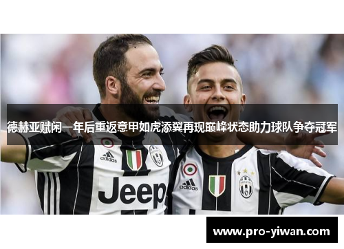 德赫亚赋闲一年后重返意甲如虎添翼再现巅峰状态助力球队争夺冠军 德赫亚赋闲一年后重返意甲如虎添翼再现巅峰状态助力球队争夺冠军