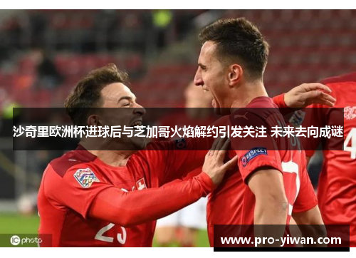 沙奇里欧洲杯进球后与芝加哥火焰解约引发关注 未来去向成谜 沙奇里欧洲杯进球后与芝加哥火焰解约引发关注 未来去向成谜