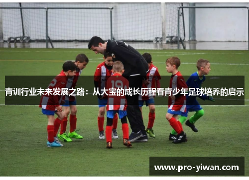 青训行业未来发展之路：从大宝的成长历程看青少年足球培养的启示