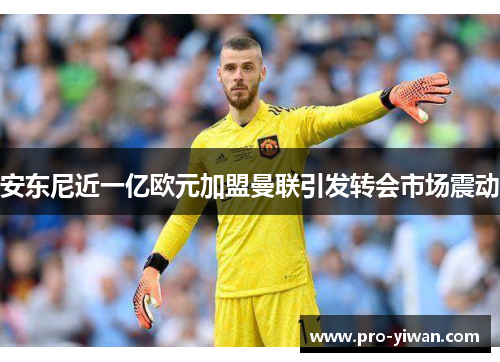 安东尼近一亿欧元加盟曼联引发转会市场震动