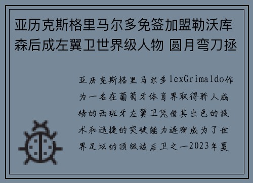 亚历克斯格里马尔多免签加盟勒沃库森后成左翼卫世界级人物 圆月弯刀拯救球队 亚历克斯格里马尔多免签加盟勒沃库森后成左翼卫世界级人物 圆月弯刀拯救球队