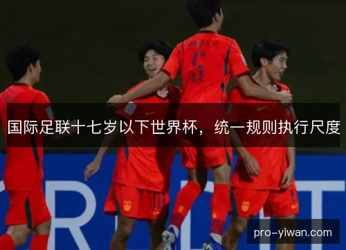 国际足联十七岁以下世界杯，统一规则执行尺度
